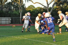 Enlarge photo 566