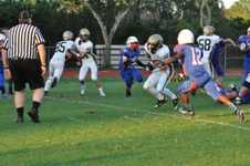 Enlarge photo 570