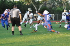 Enlarge photo 569
