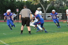 Enlarge photo 571