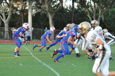 Enlarge photo 582