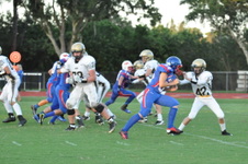 Enlarge photo 586