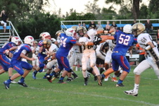 Enlarge photo 678