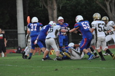 Enlarge photo 723