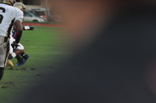 Enlarge photo 770