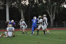 Enlarge photo 813