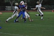Enlarge photo 847