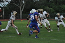 Enlarge photo 850