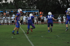 Enlarge photo 859