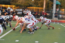 Enlarge photo 80