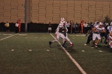 Enlarge photo 204