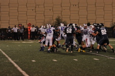 Enlarge photo 233