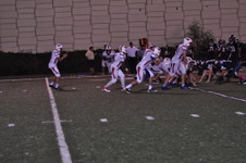 Enlarge photo 238