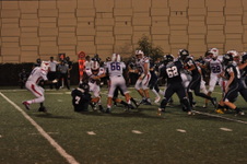 Enlarge photo 237