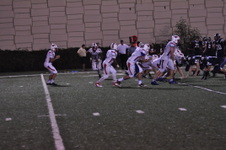 Enlarge photo 239
