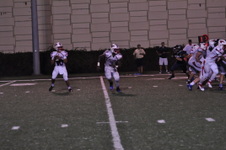 Enlarge photo 243