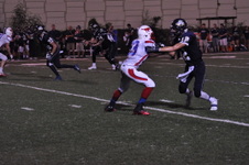 Enlarge photo 284