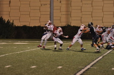 Enlarge photo 347