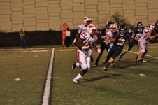 Enlarge photo 375