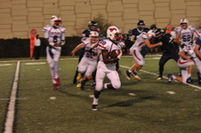 Enlarge photo 377