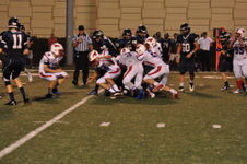 Enlarge photo 441