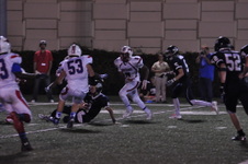 Enlarge photo 447