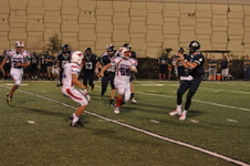 Enlarge photo 473