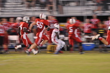 Enlarge photo 48