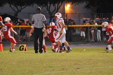 Enlarge photo 51