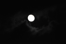 Enlarge photo 487