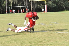 Enlarge photo 42