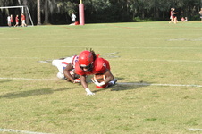 Enlarge photo 43