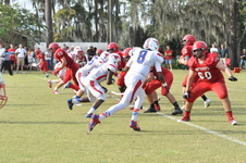 Enlarge photo 45