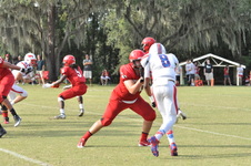 Enlarge photo 46