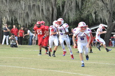 Enlarge photo 47