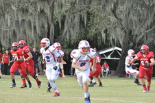 Enlarge photo 48