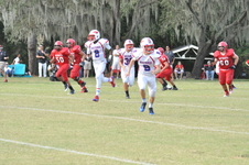 Enlarge photo 49