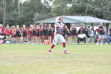 Enlarge photo 51