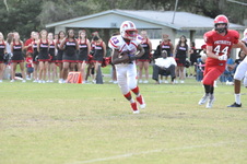 Enlarge photo 54