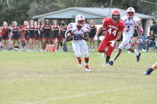 Enlarge photo 56