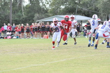 Enlarge photo 55