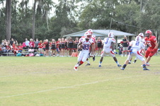 Enlarge photo 57