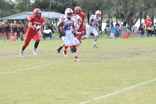 Enlarge photo 60