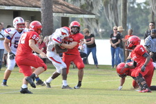Enlarge photo 81