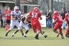 Enlarge photo 82