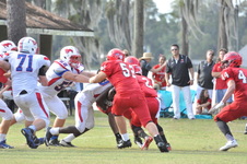 Enlarge photo 84