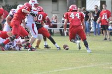 Enlarge photo 93