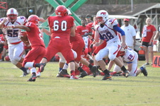 Enlarge photo 95