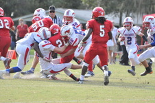 Enlarge photo 98