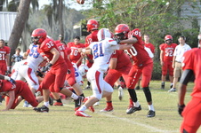 Enlarge photo 107